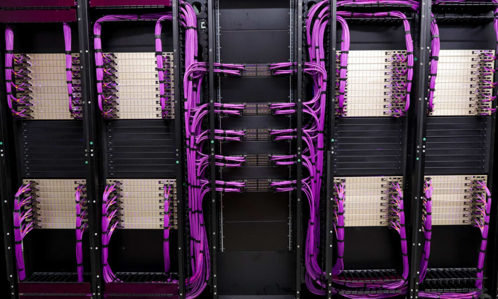 $500 purple cables put Credo in middle of the AI boom