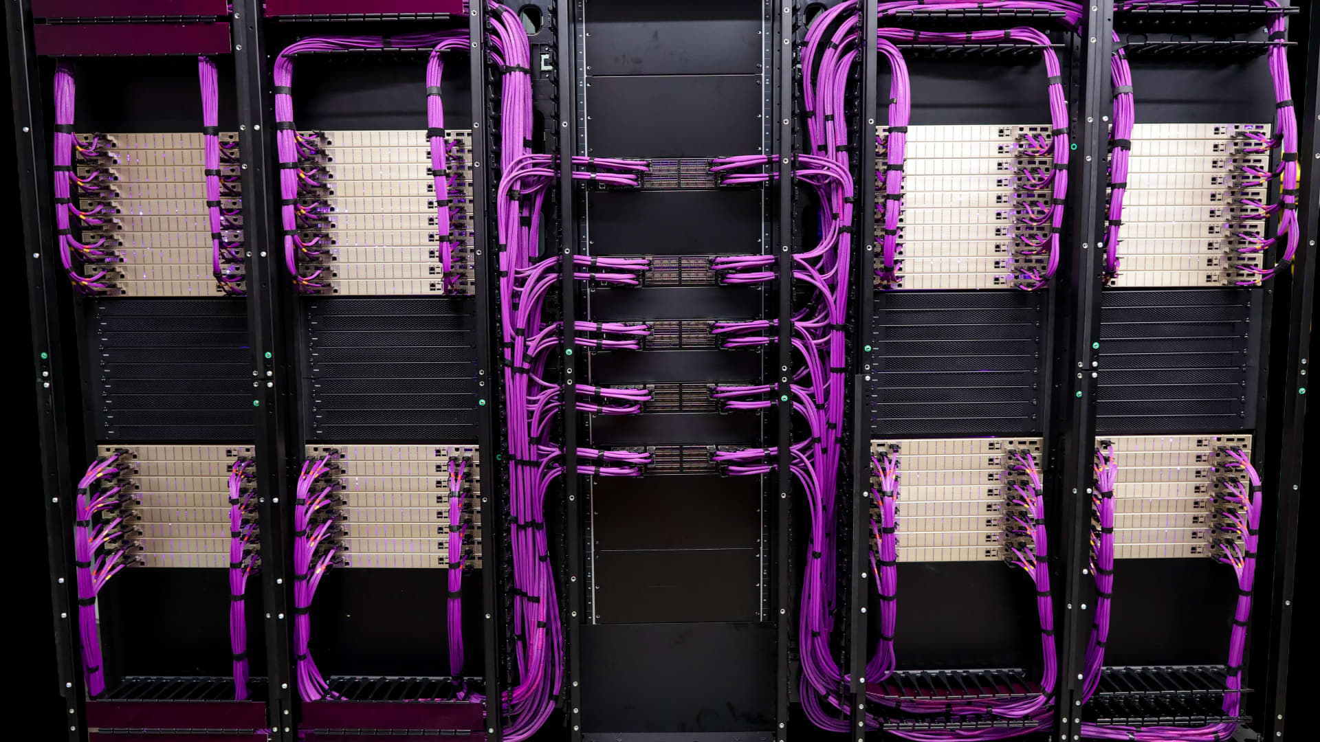 $500 purple cables put Credo in middle of the AI boom
