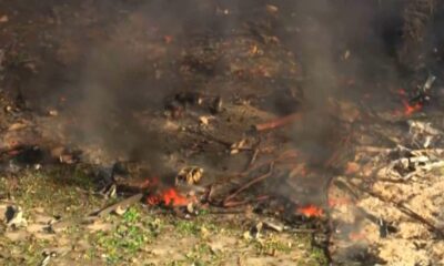 A factory that makes munitions for the military exploded, killing 16 people and leaving no survivors