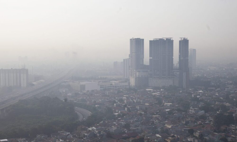 Air pollution deaths could cost Southeast Asia $600B by 2050: Study