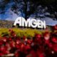 Amgen, other drugmakers launch DTC programs