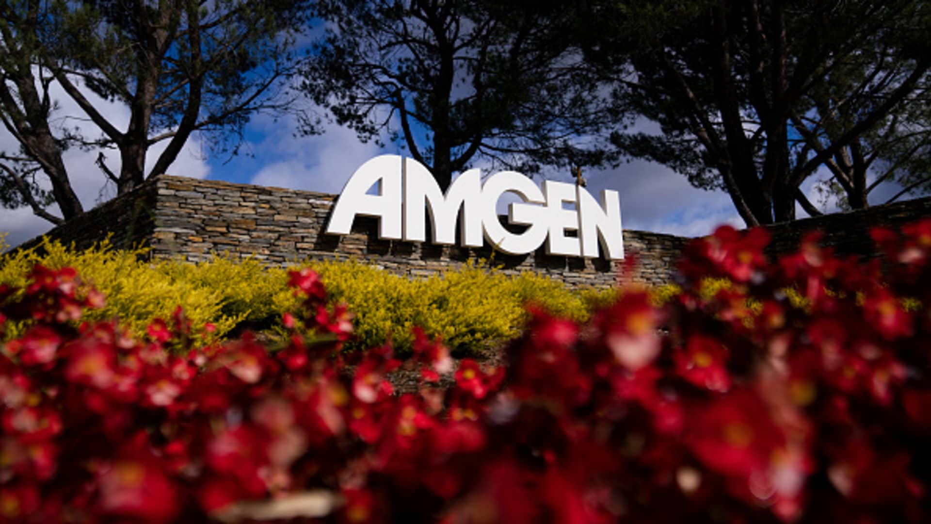 Amgen, other drugmakers launch DTC programs