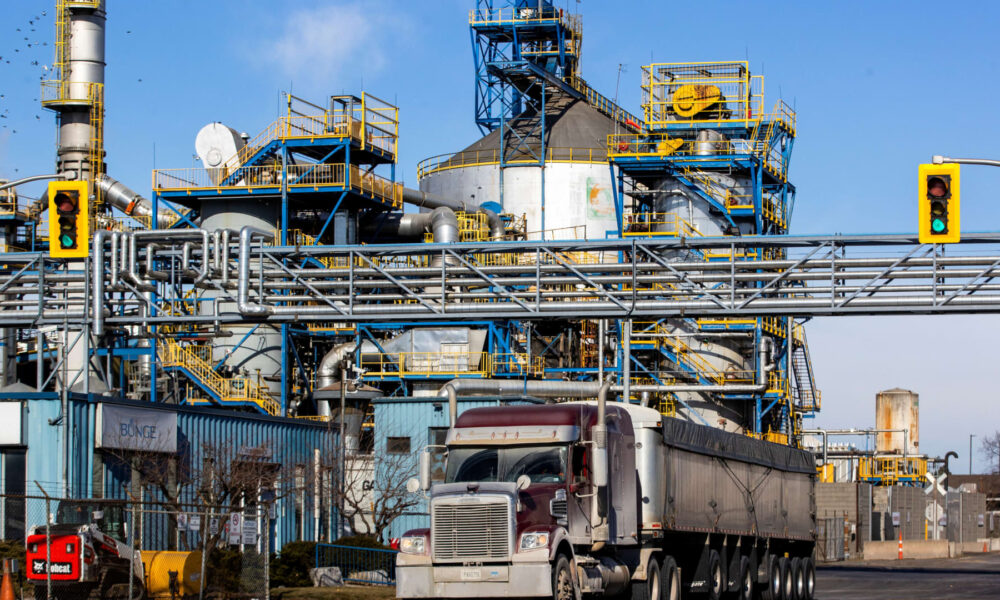 Bunge shares soar after Trump considers China cooking oil embargo