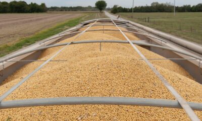 China buys three U.S. soybean cargoes ahead of Trump-Xi meeting, Reuters reports