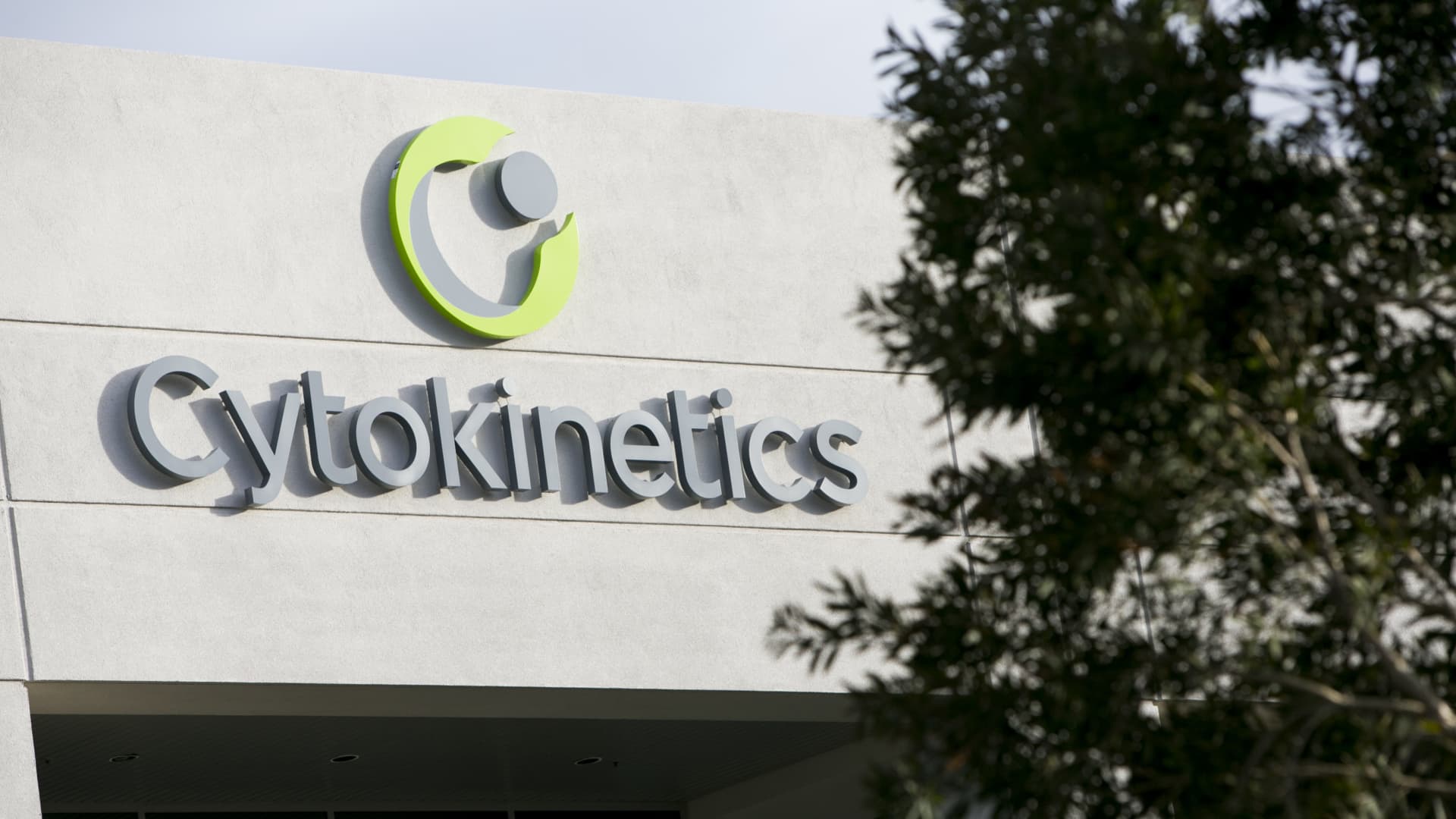 Cytokinetics has been on a tear as the biotech pioneers more drugs to fight heart ailments