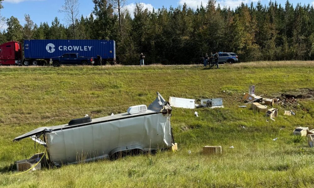 3 monkeys still on the loose after research transport truck crashes in rural Mississippi