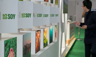 American farmers push to boost China soybean sales