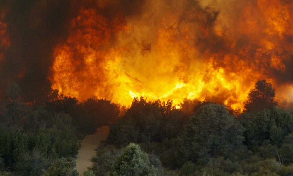 Inside the new open-source AI that helps anyone track a changing planet