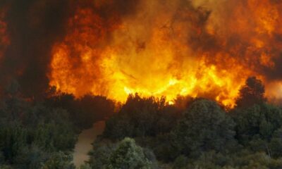 Inside the new open-source AI that helps anyone track a changing planet