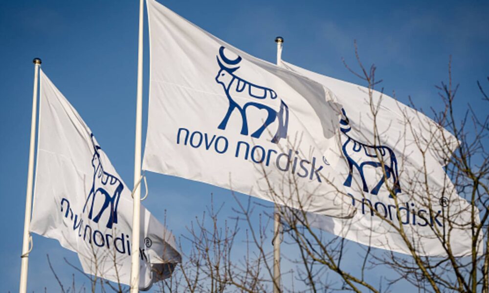Novo Nordisk's strategy tested as investors push back on board revamp