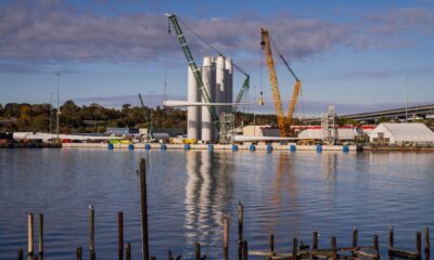 Orsted swings to quarterly net loss amid Trump's offshore wind battle