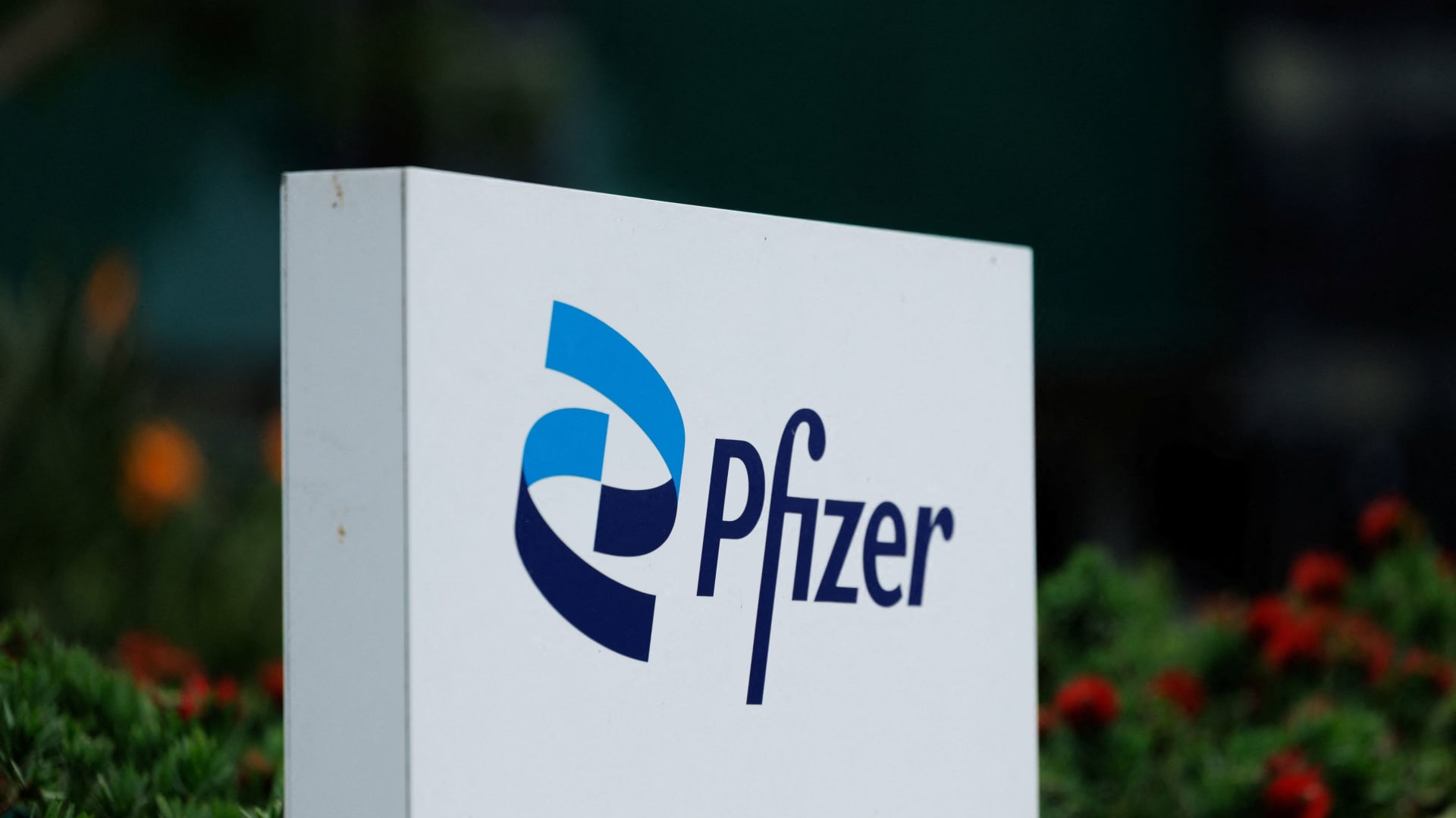 Pfizer files second lawsuit against Novo Nordisk, Metsera