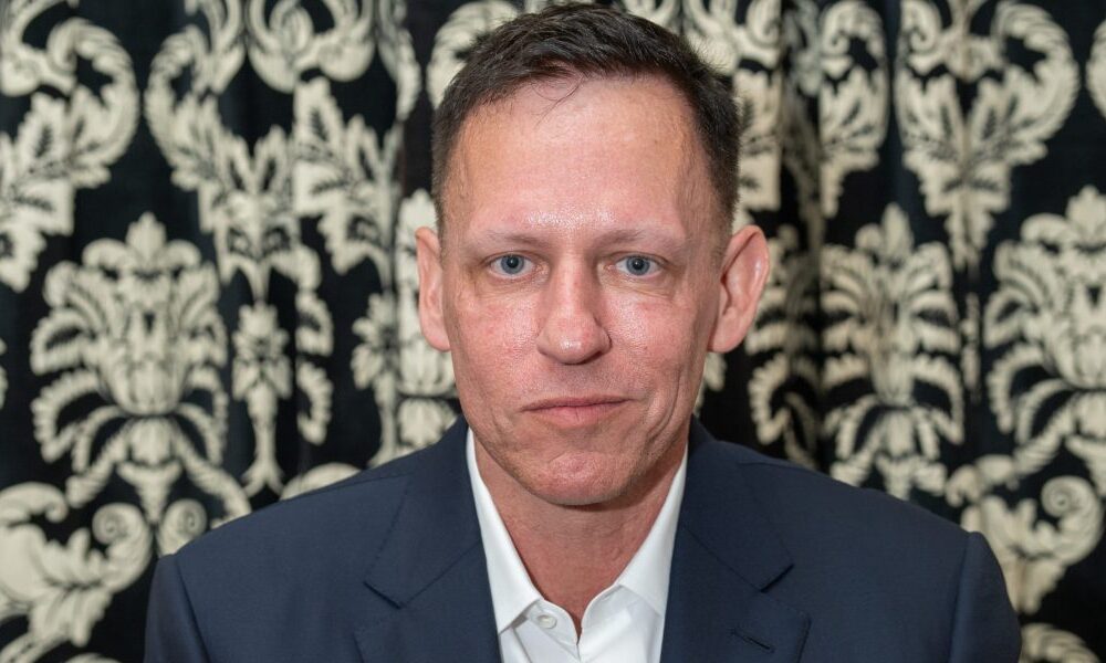 Silicon Valley billionaire, reeling from Zohran Mamdani's victory, turns back the clock to Peter Thiel's warning about the appeal of socialism from 2020