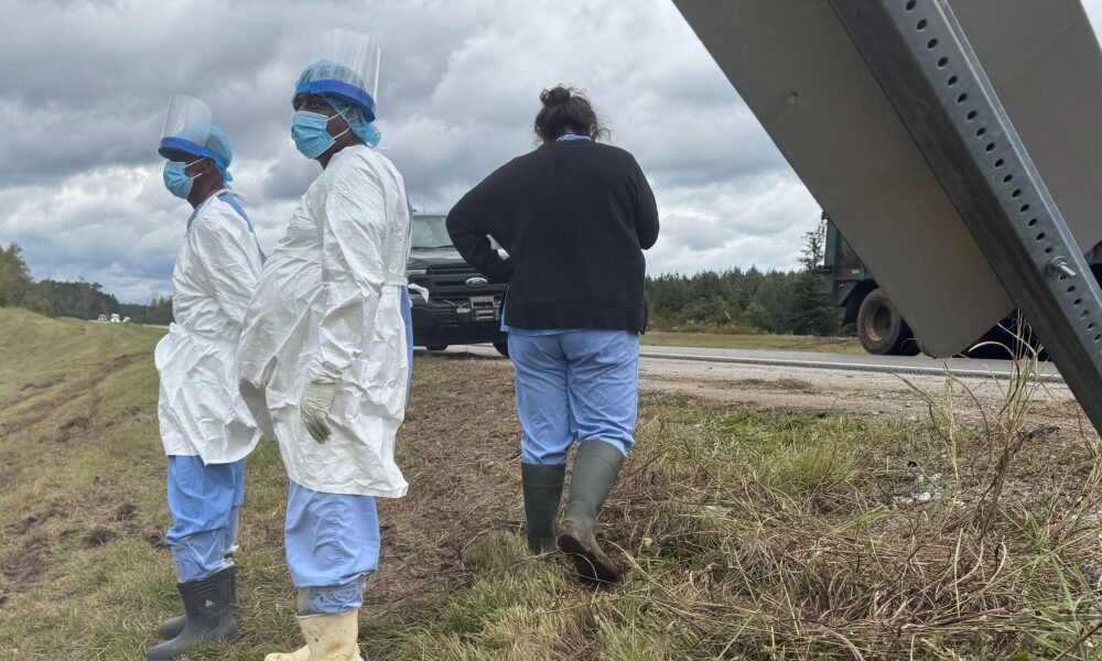 The last monkey on the loose among several that escaped after a Mississippi highway crash has been found and captured