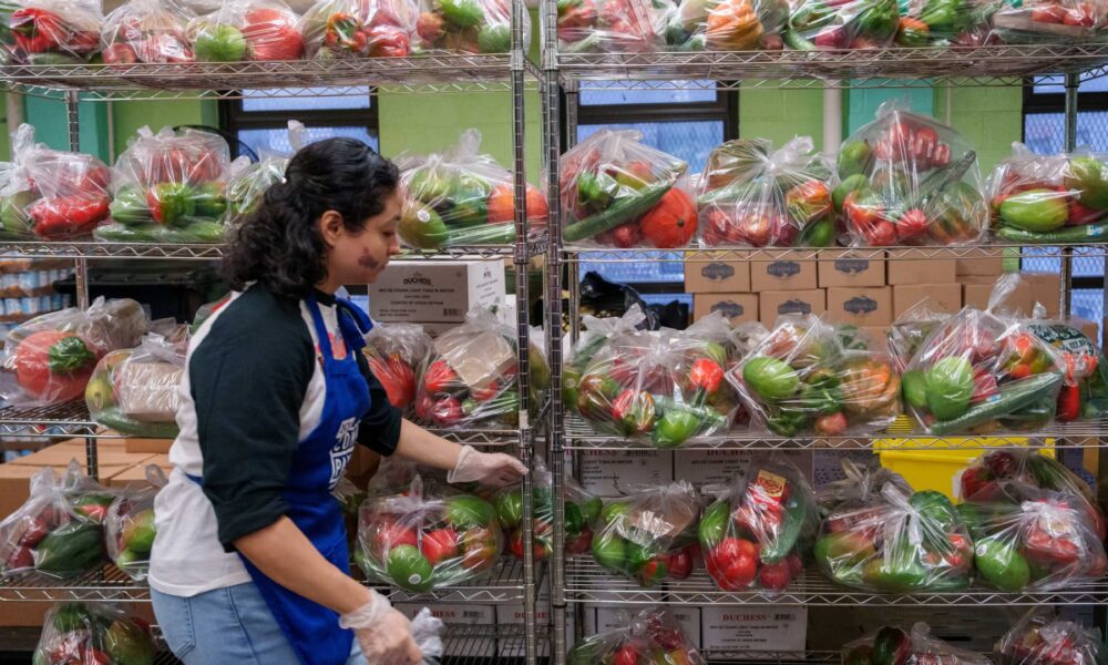 U.S. wastes $400 billion in food each year